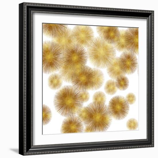 Golden Sunbursts-Abby Young-Framed Art Print