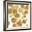 Golden Sunbursts-Abby Young-Framed Art Print