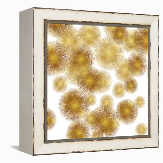 Golden Sunbursts-Abby Young-Framed Stretched Canvas