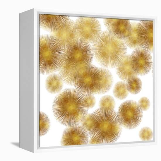 Golden Sunbursts-Abby Young-Framed Stretched Canvas