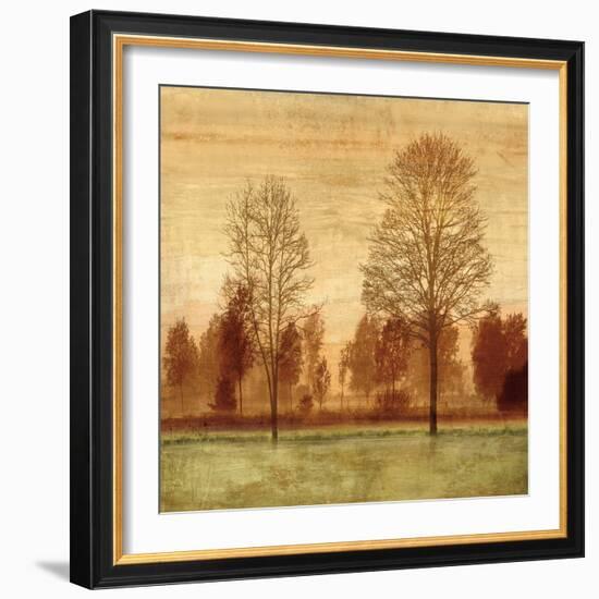 Golden Sunrise I-Chris Donovan-Framed Art Print