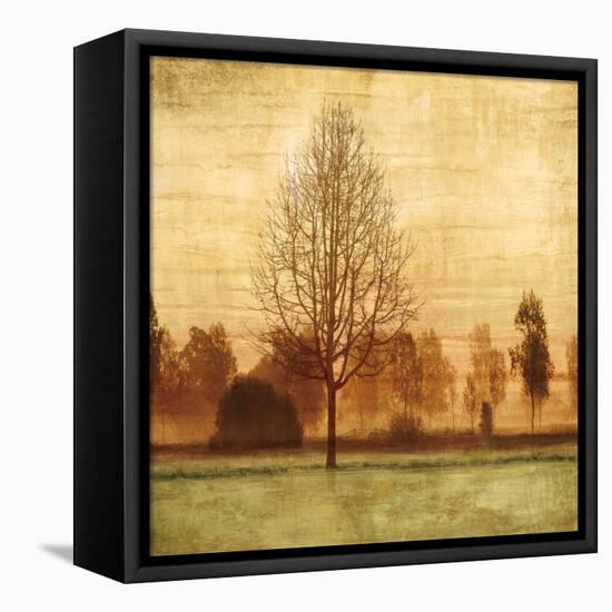 Golden Sunrise II-Chris Donovan-Framed Stretched Canvas