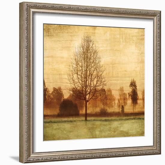 Golden Sunrise II-Chris Donovan-Framed Art Print