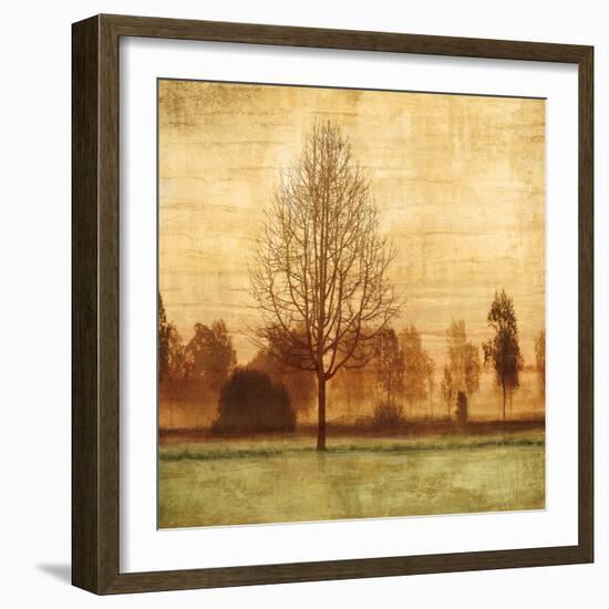 Golden Sunrise II-Chris Donovan-Framed Art Print