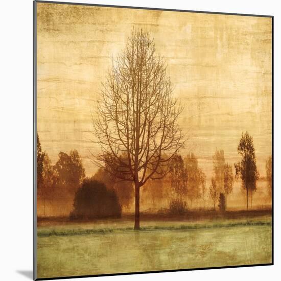 Golden Sunrise II-Chris Donovan-Mounted Art Print