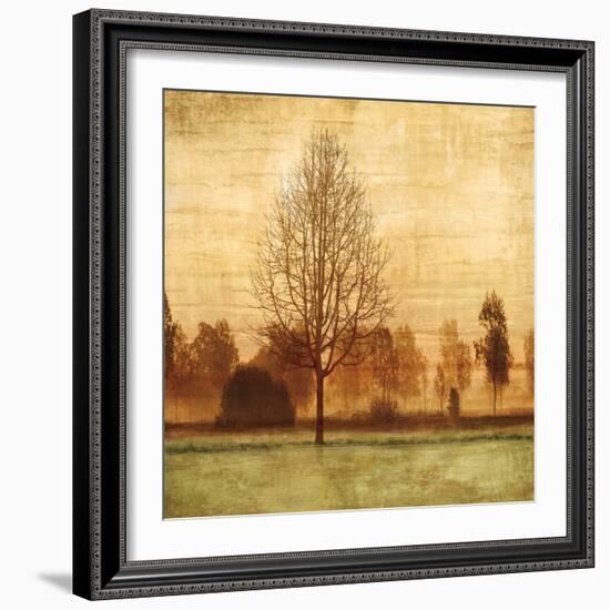 Golden Sunrise II-Chris Donovan-Framed Art Print