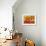 Golden Sunrise-Natasha Wescoat-Framed Giclee Print displayed on a wall