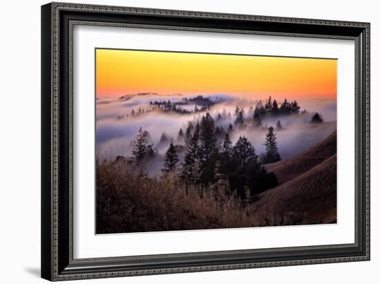 Golden Sunset and Fog Flow Marin Mount Tamalpais San Francisco-Vincent James-Framed Photographic Print