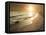 Golden Sunset on the Sea Shore and Footprints in the Sand-ollirg-Framed Premier Image Canvas