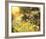 Golden Sunset-Mary Dipnall-Framed Art Print