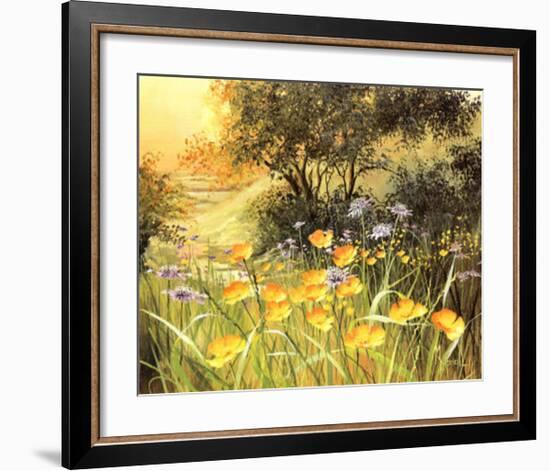 Golden Sunset-Mary Dipnall-Framed Art Print