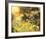 Golden Sunset-Mary Dipnall-Framed Art Print