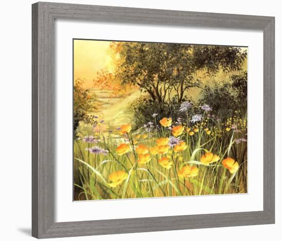 Golden Sunset-Mary Dipnall-Framed Art Print