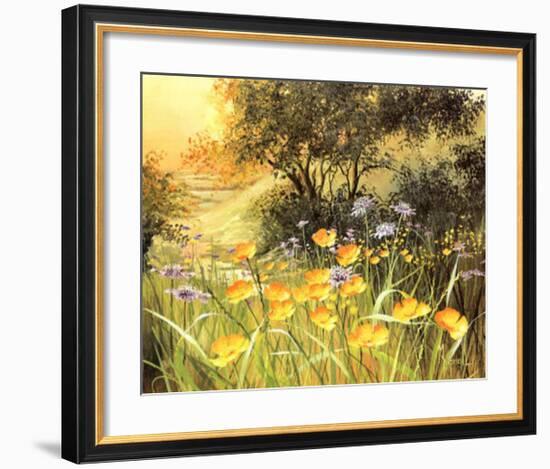 Golden Sunset-Mary Dipnall-Framed Art Print