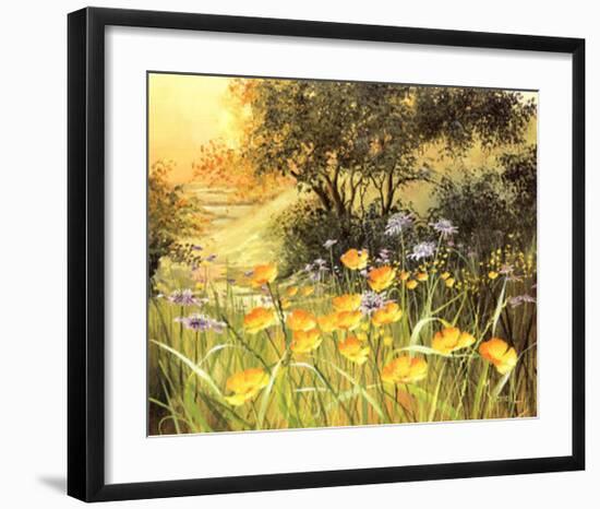 Golden Sunset-Mary Dipnall-Framed Art Print