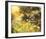 Golden Sunset-Mary Dipnall-Framed Art Print