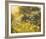 Golden Sunset-Mary Dipnall-Framed Giclee Print