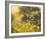 Golden Sunset-Mary Dipnall-Framed Giclee Print