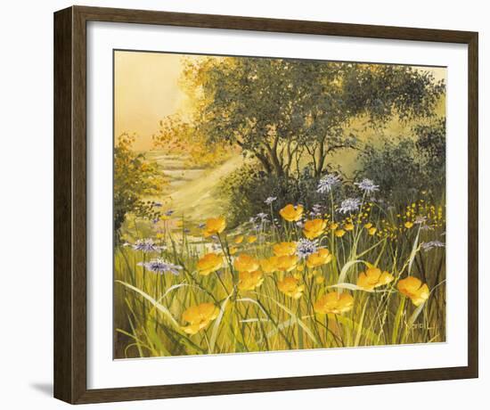 Golden Sunset-Mary Dipnall-Framed Giclee Print