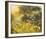 Golden Sunset-Mary Dipnall-Framed Giclee Print