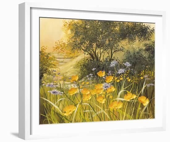 Golden Sunset-Mary Dipnall-Framed Giclee Print