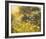 Golden Sunset-Mary Dipnall-Framed Giclee Print