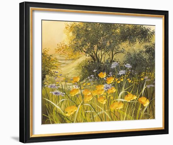 Golden Sunset-Mary Dipnall-Framed Giclee Print