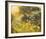 Golden Sunset-Mary Dipnall-Framed Giclee Print