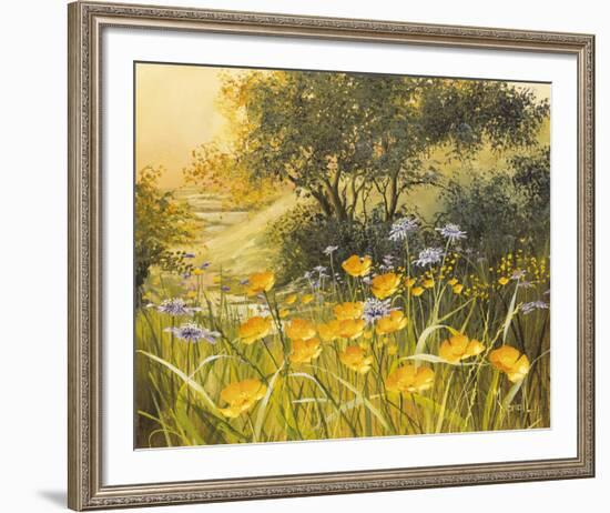 Golden Sunset-Mary Dipnall-Framed Giclee Print
