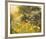 Golden Sunset-Mary Dipnall-Framed Giclee Print