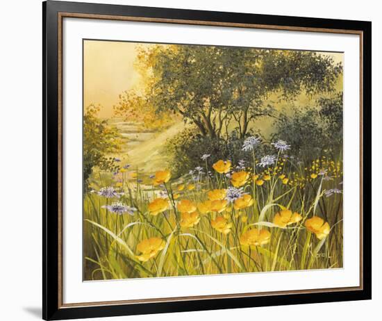 Golden Sunset-Mary Dipnall-Framed Giclee Print