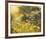 Golden Sunset-Mary Dipnall-Framed Giclee Print