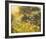 Golden Sunset-Mary Dipnall-Framed Giclee Print