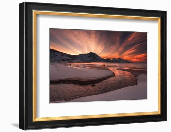 Golden Sunset-Jaroslav Zakravsky-Framed Photographic Print