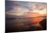 Golden Sunset-Susan Bryant-Mounted Photo