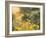 Golden Sunset-Mary Dipnall-Framed Art Print