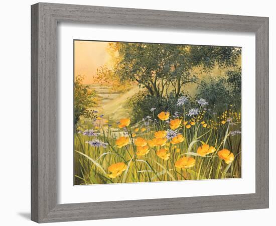 Golden Sunset-Mary Dipnall-Framed Art Print