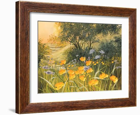 Golden Sunset-Mary Dipnall-Framed Art Print