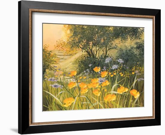 Golden Sunset-Mary Dipnall-Framed Art Print