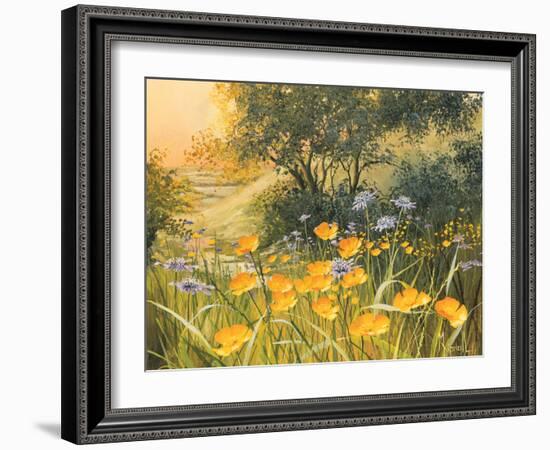 Golden Sunset-Mary Dipnall-Framed Art Print