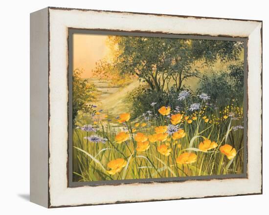 Golden Sunset-Mary Dipnall-Framed Stretched Canvas