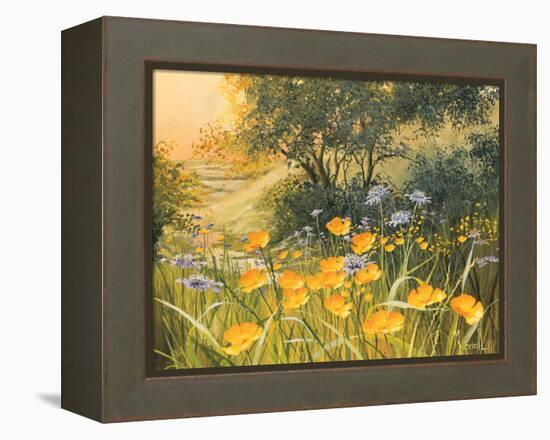 Golden Sunset-Mary Dipnall-Framed Stretched Canvas