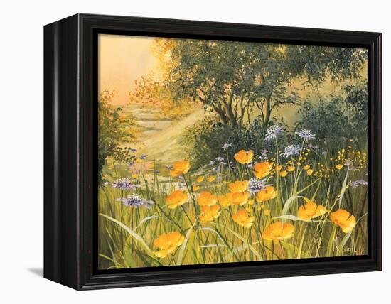 Golden Sunset-Mary Dipnall-Framed Stretched Canvas