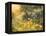 Golden Sunset-Mary Dipnall-Framed Stretched Canvas