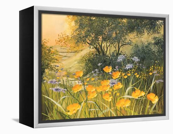 Golden Sunset-Mary Dipnall-Framed Stretched Canvas