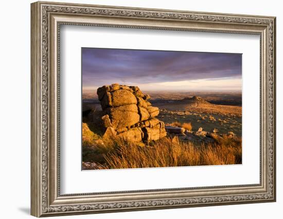 Golden sunshine glows against the granite outcrops at Belstone Tor, Dartmoor National Park, Devon, -Adam Burton-Framed Photographic Print