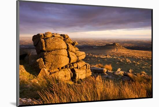 Golden sunshine glows against the granite outcrops at Belstone Tor, Dartmoor National Park, Devon, -Adam Burton-Mounted Photographic Print