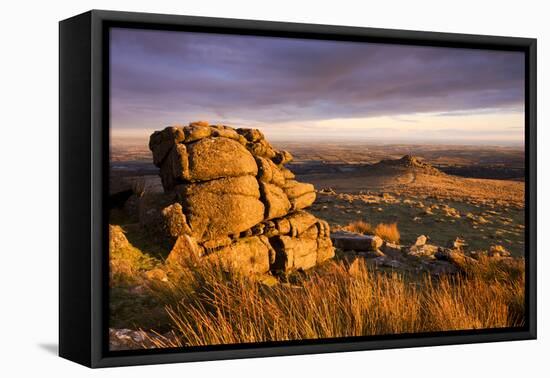 Golden sunshine glows against the granite outcrops at Belstone Tor, Dartmoor National Park, Devon, -Adam Burton-Framed Premier Image Canvas