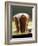 Golden Syrup Pudding-John Hay-Framed Photographic Print