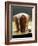 Golden Syrup Pudding-John Hay-Framed Photographic Print